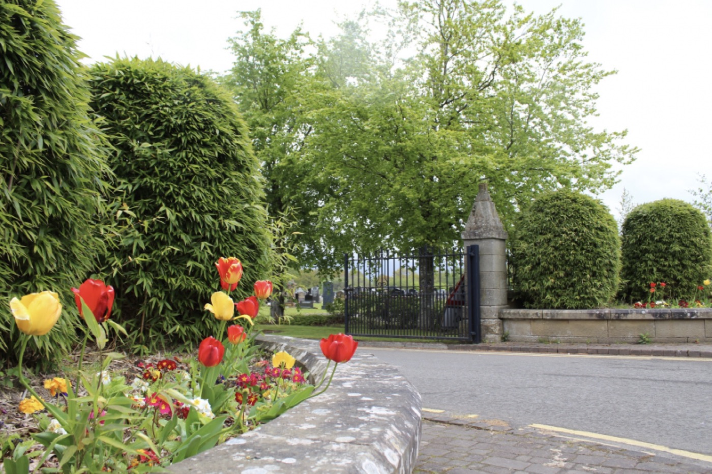 Cemetery entrance in spring with tulips flowering by the gates